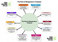 The role of manganese in turfgrass management