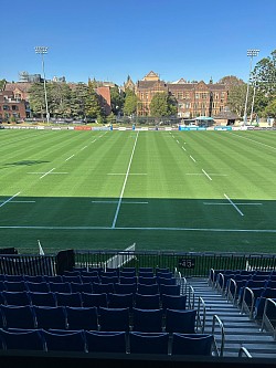 New perennial ryegrass sports turf varieties