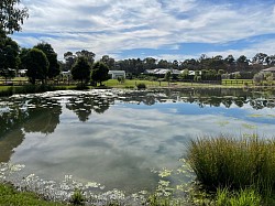 Aquatic weed and algae control