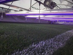 LED light rigs for turfgrass