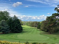 Vertmax turf pigment on Duntry League Golf Club