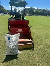 Perennial ryegrass seed